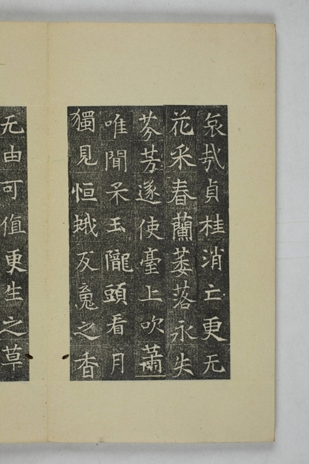 李君妻尉富娘墓誌_