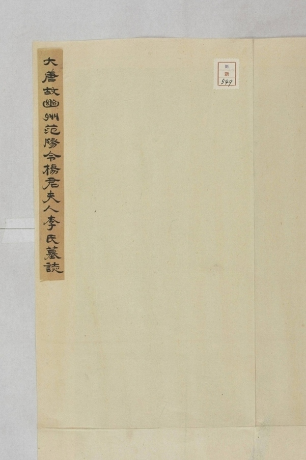 楊君妻韋檀特墓誌_