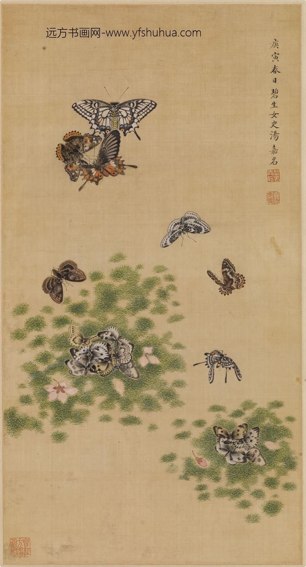 汤嘉名_花蝶图轴