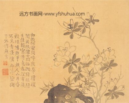 汪士慎 花卉册 1.jpg