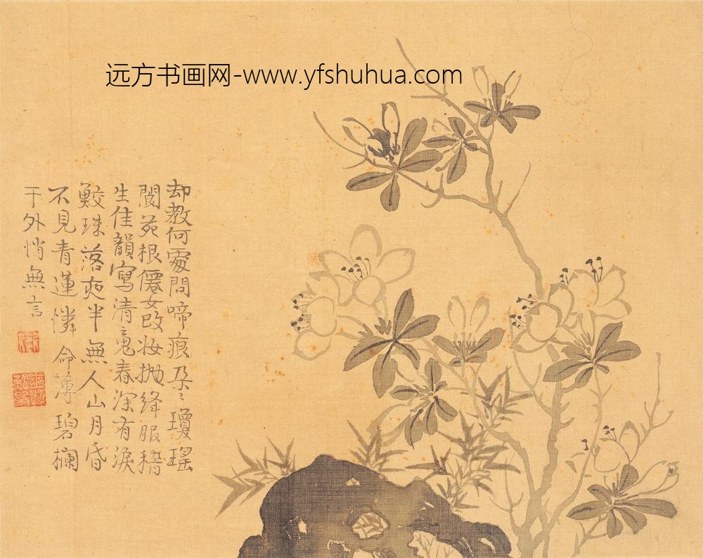 汪士慎_花卉册_