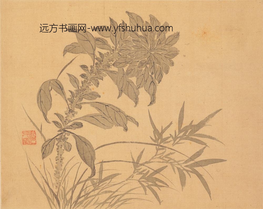 汪士慎_花卉册_