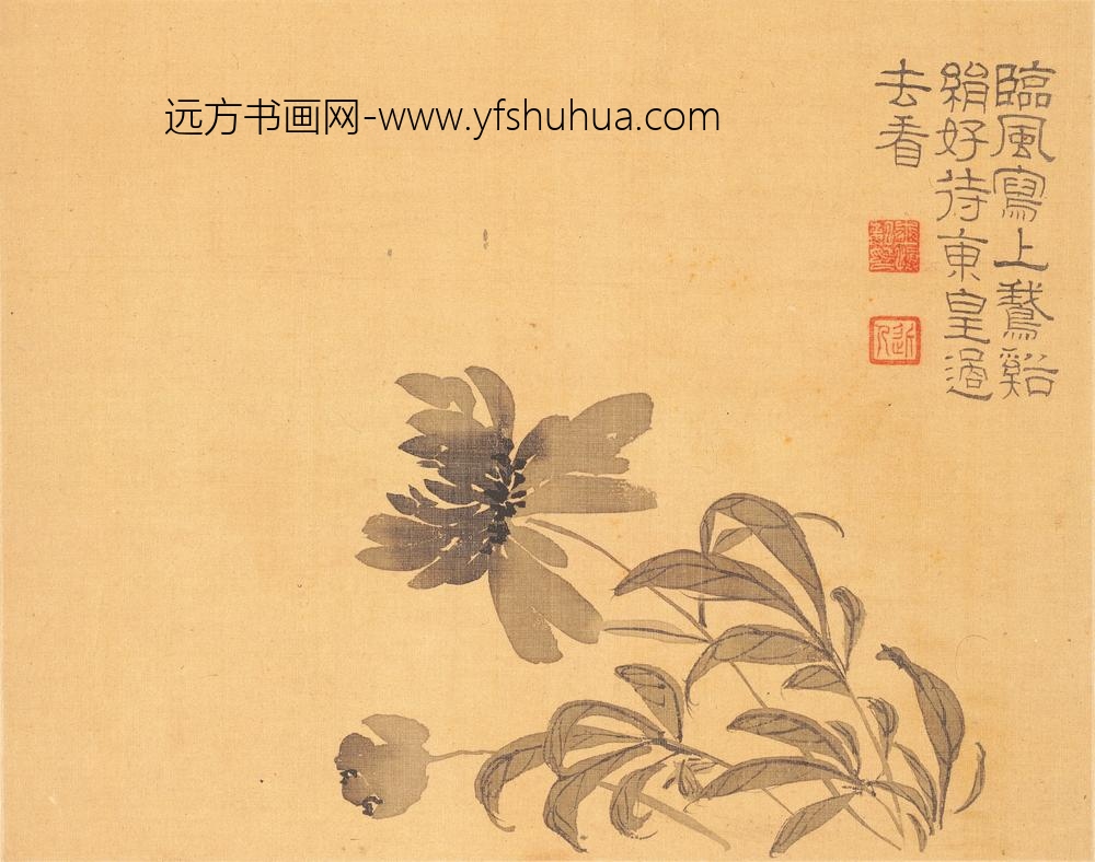 汪士慎_花卉册_