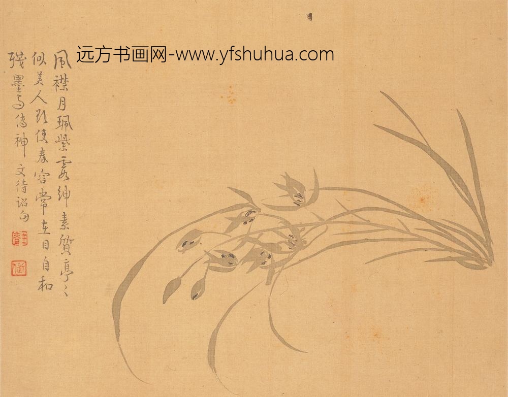 汪士慎_花卉册_