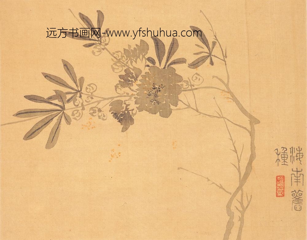 汪士慎_花卉册_