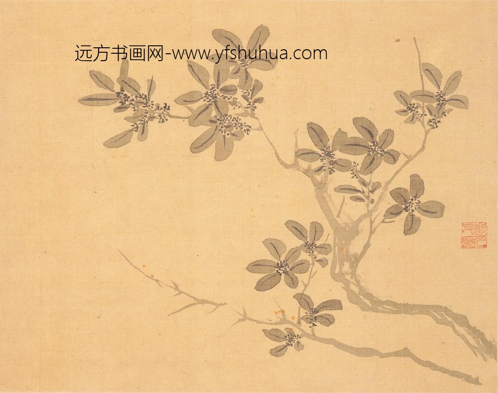 汪士慎_花卉册_