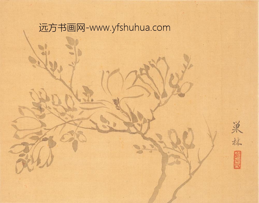 汪士慎_花卉册_