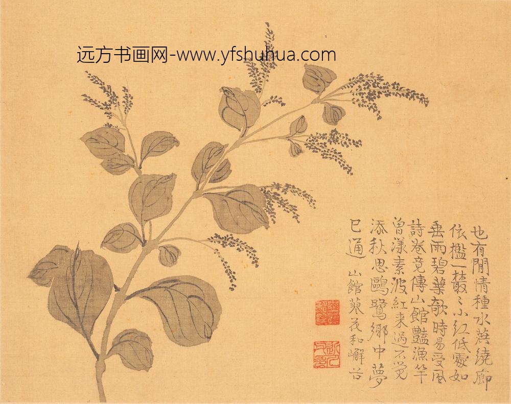 汪士慎_花卉册_