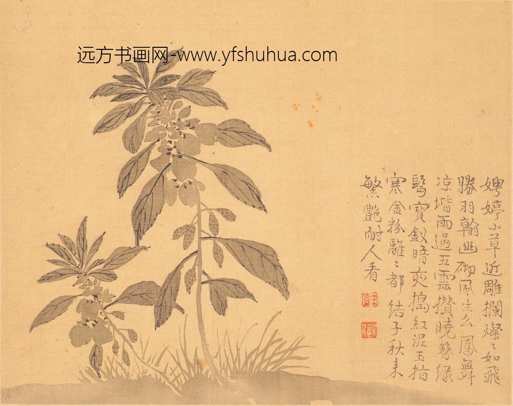 汪士慎_花卉册_