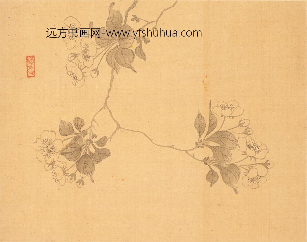 汪士慎_花卉册_