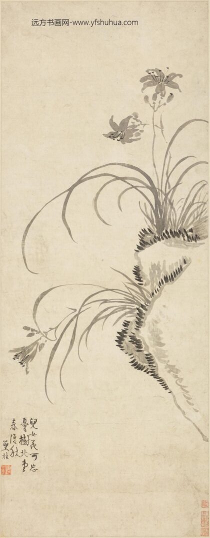 汪士慎 萱花图轴.jpg