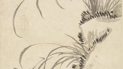 汪士慎 萱花图轴.jpg