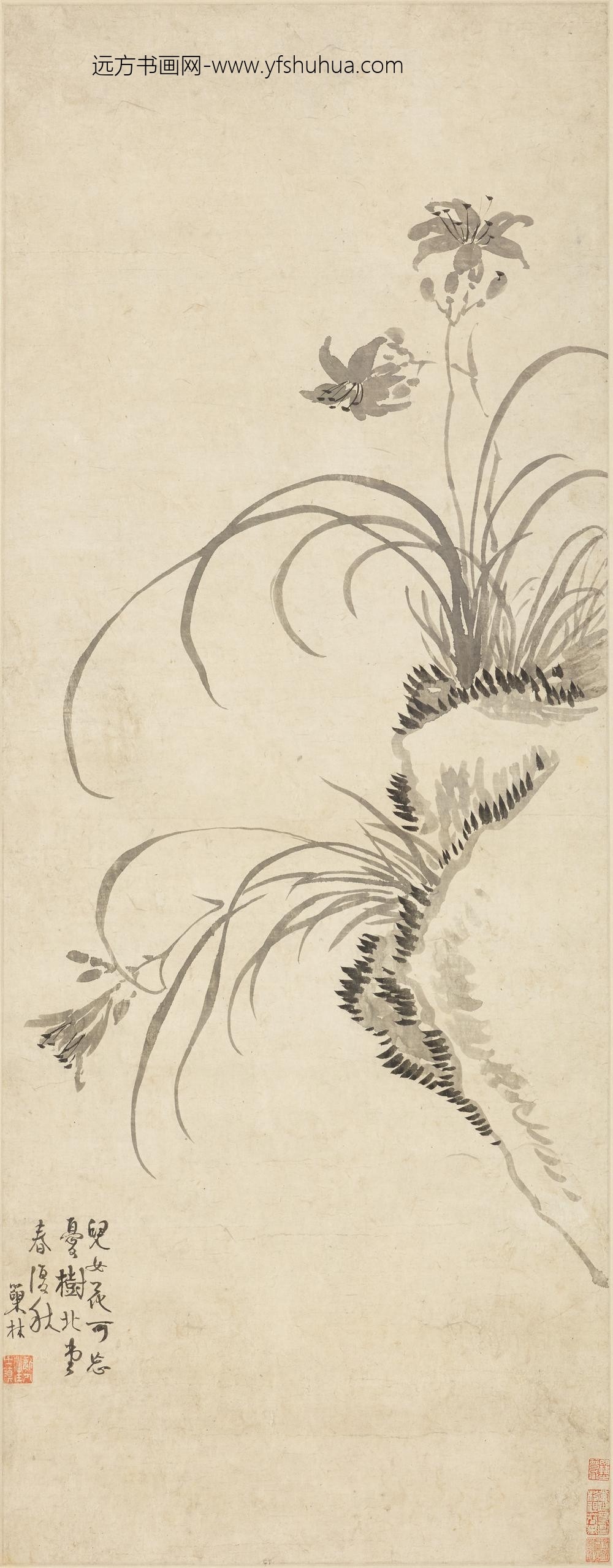 汪士慎_萱花图轴