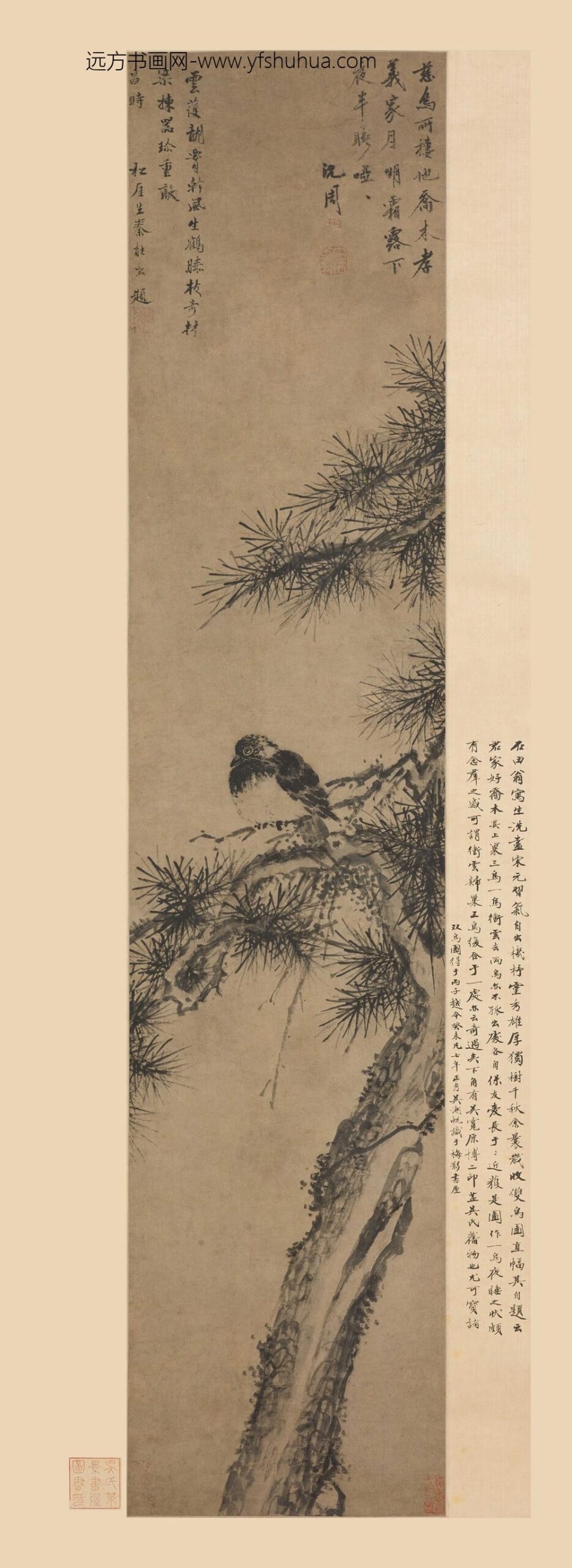 沈周_乔木慈鸟图轴