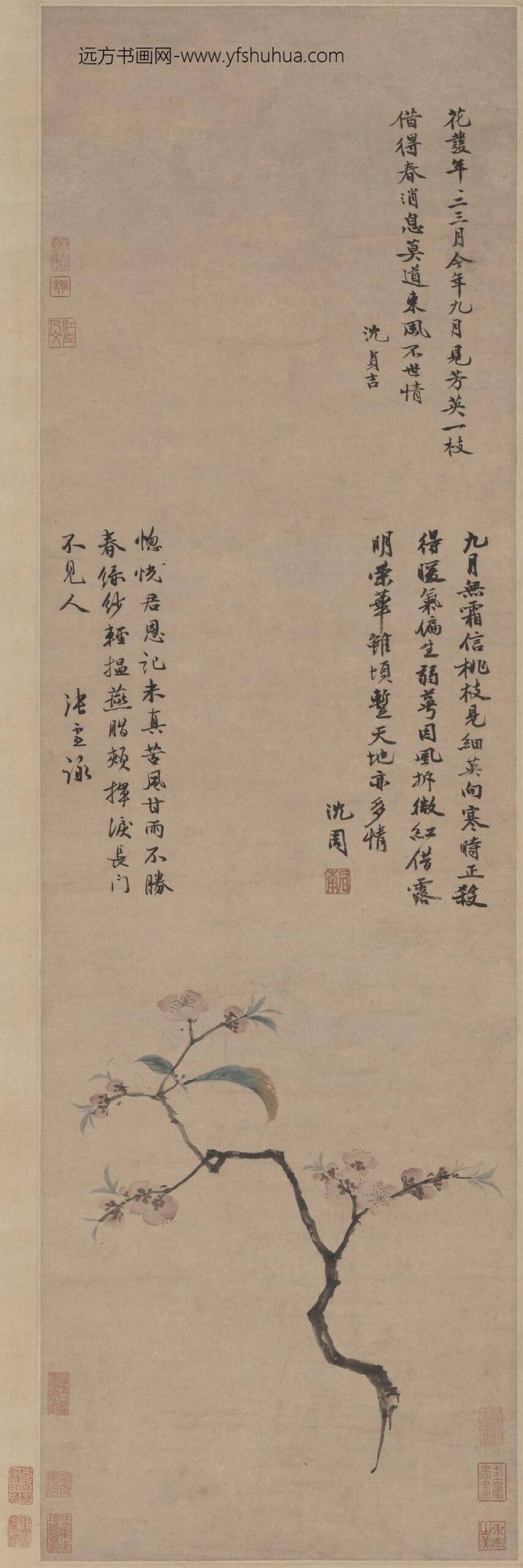 沈周_九月桃花图轴