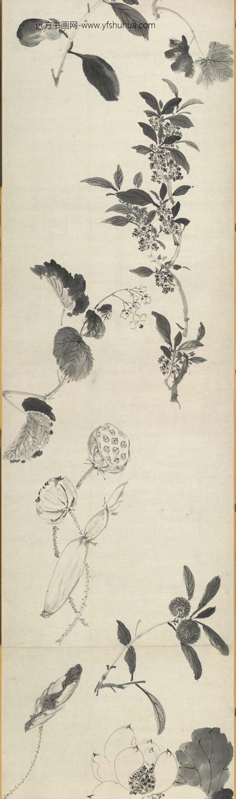 沈周_水墨花果卷_