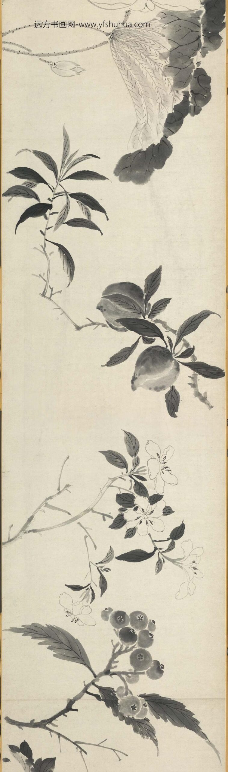 沈周_水墨花果卷_