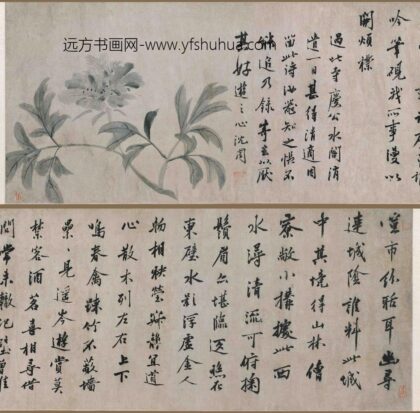 沈周 芍药图卷.jpg