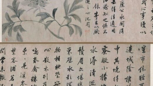 沈周 芍药图卷.jpg