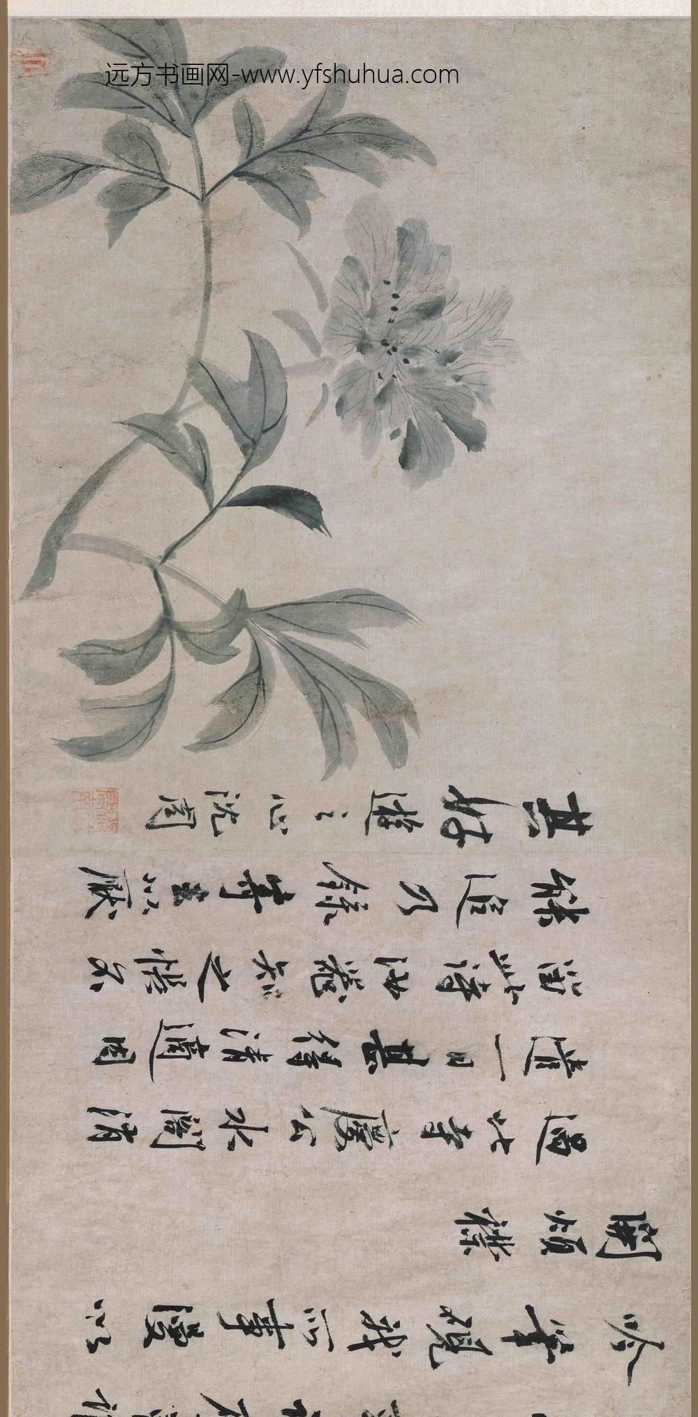 沈周_芍药图卷_