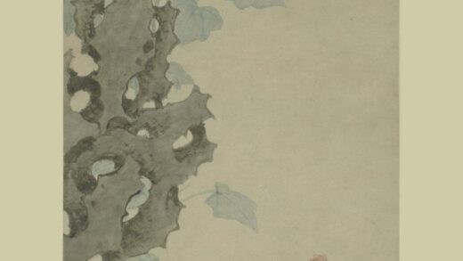 沈周 雄鸡芙蓉图轴.jpg