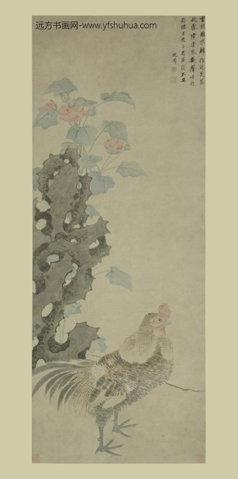 沈周_雄鸡芙蓉图轴