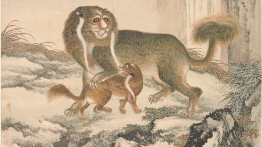 沈铨 三狮图轴.jpg