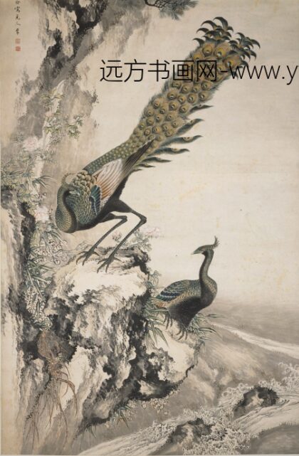 沈铨 孔雀图轴.jpg