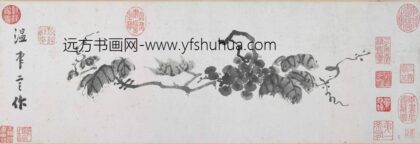 温日观 葡萄图卷.jpg