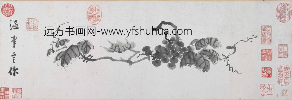 温日观_葡萄图卷