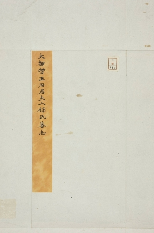 王君妻祿氏墓誌_