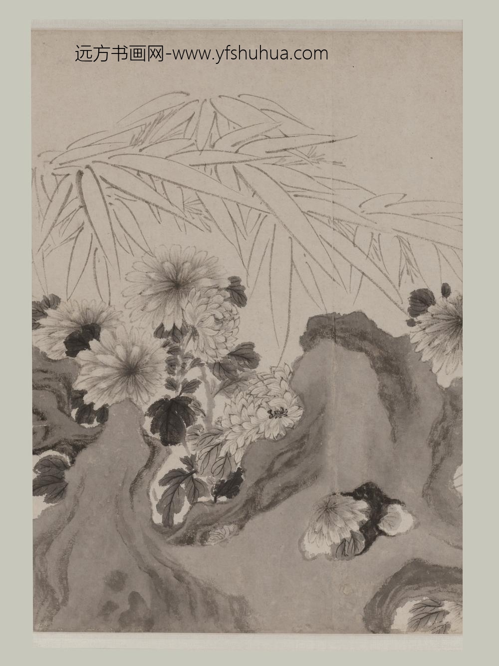 王武_竹石丛菊卷