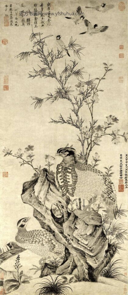 王渊 竹石集禽图轴.jpg