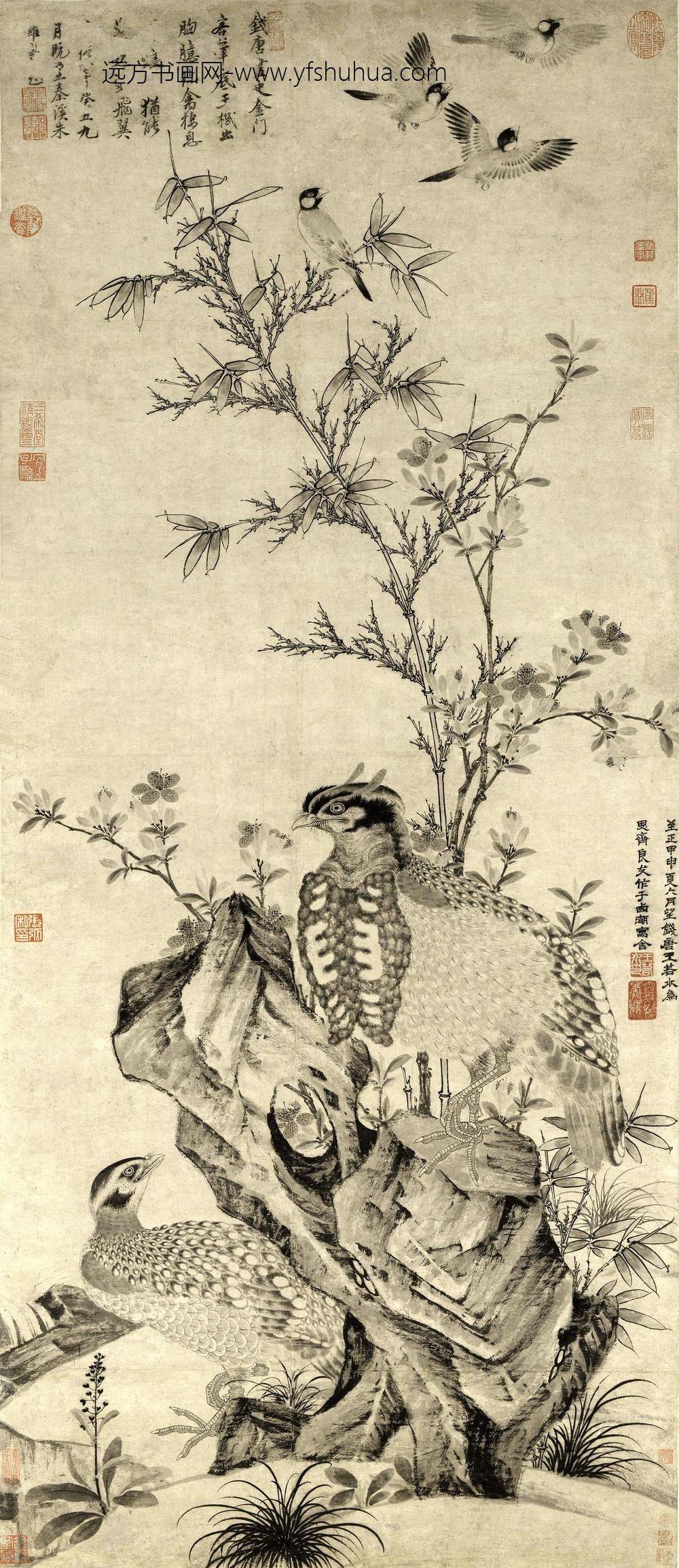 王渊_竹石集禽图轴