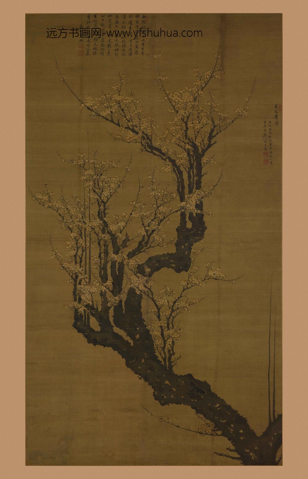 王谦_卓冠群芳图轴