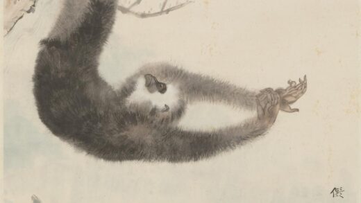 田世光 栗树悬猴图轴.jpg