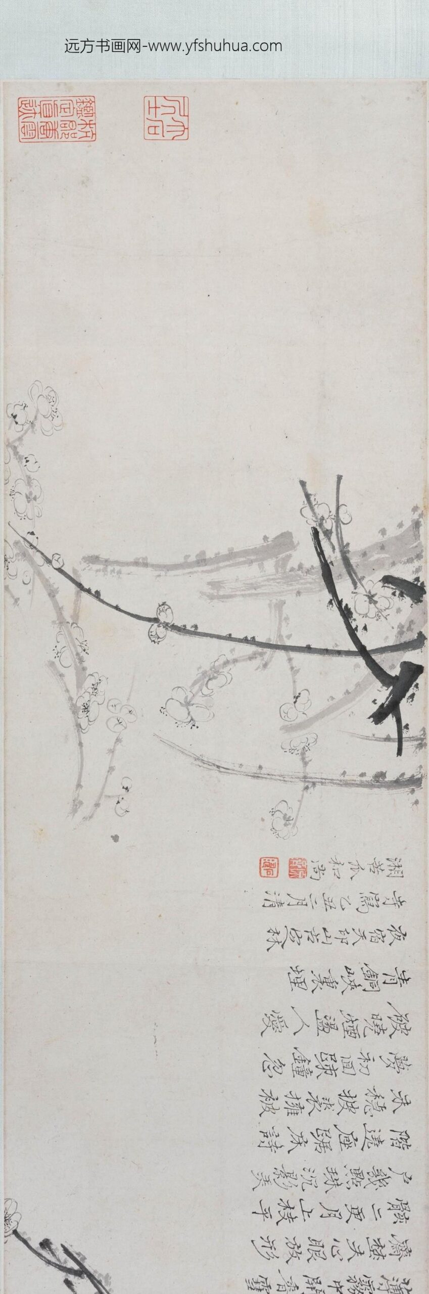 石涛_梅菊合卷_