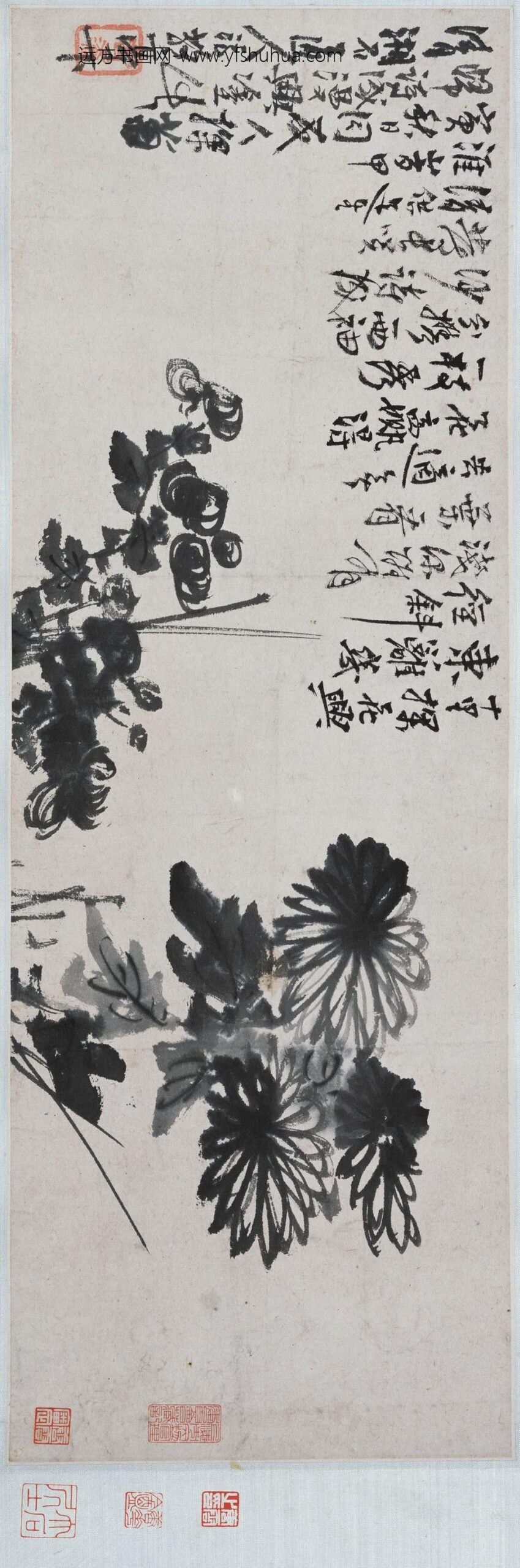 石涛_梅菊合卷_