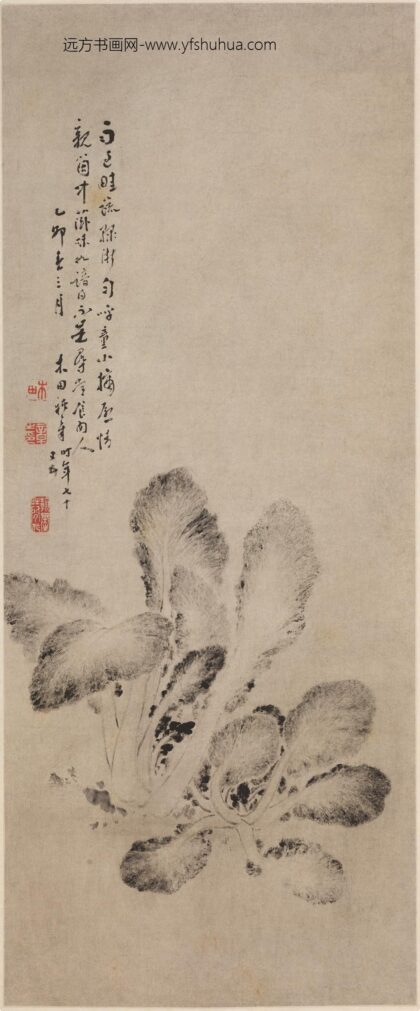 禇章 墨菜图轴.jpg