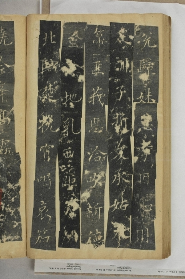 紀國先妃陸氏碑_