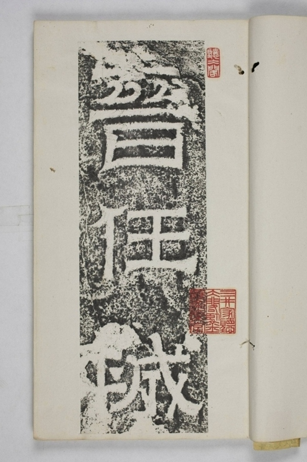 羊君夫人孫氏碑_