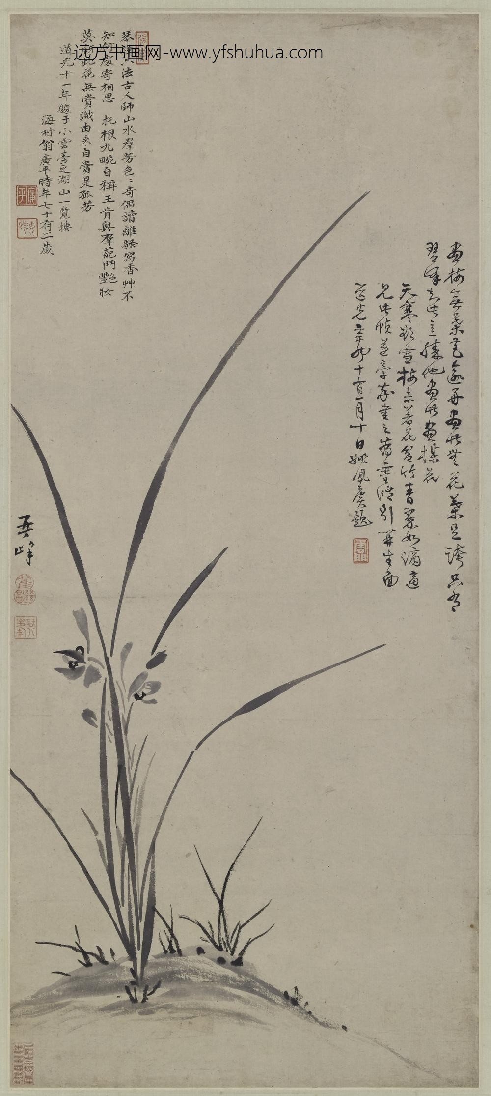 翟继昌_幽兰图轴