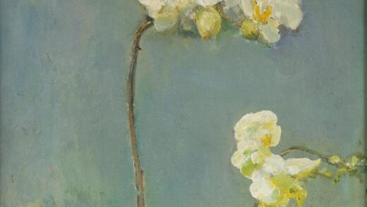 艾中信 蝴蝶兰.jpg