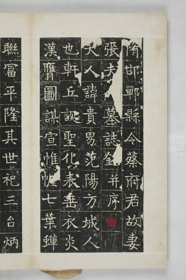 蔡君妻張貴男墓誌_