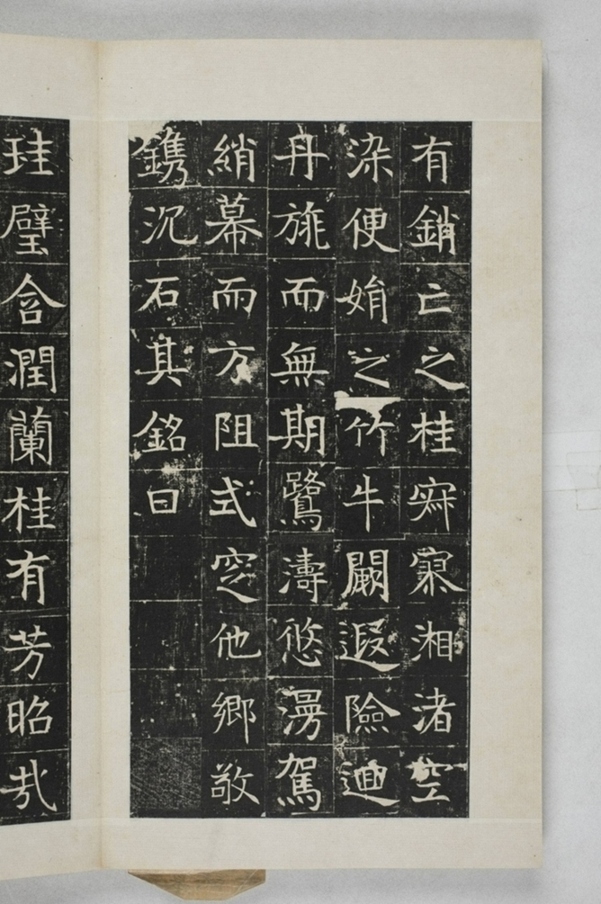 蔡君妻張貴男墓誌_