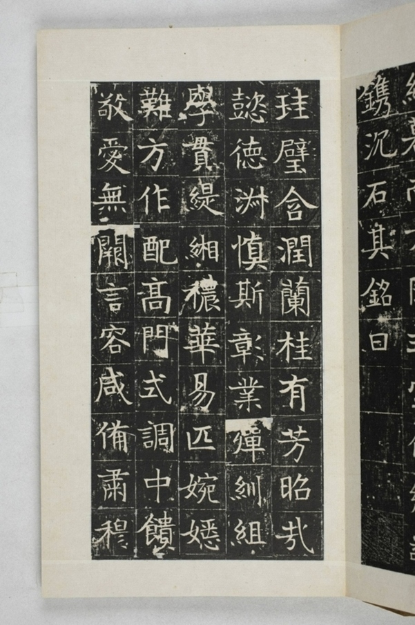 蔡君妻張貴男墓誌_