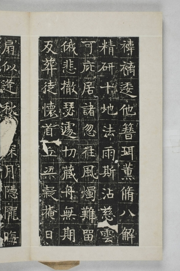 蔡君妻張貴男墓誌_