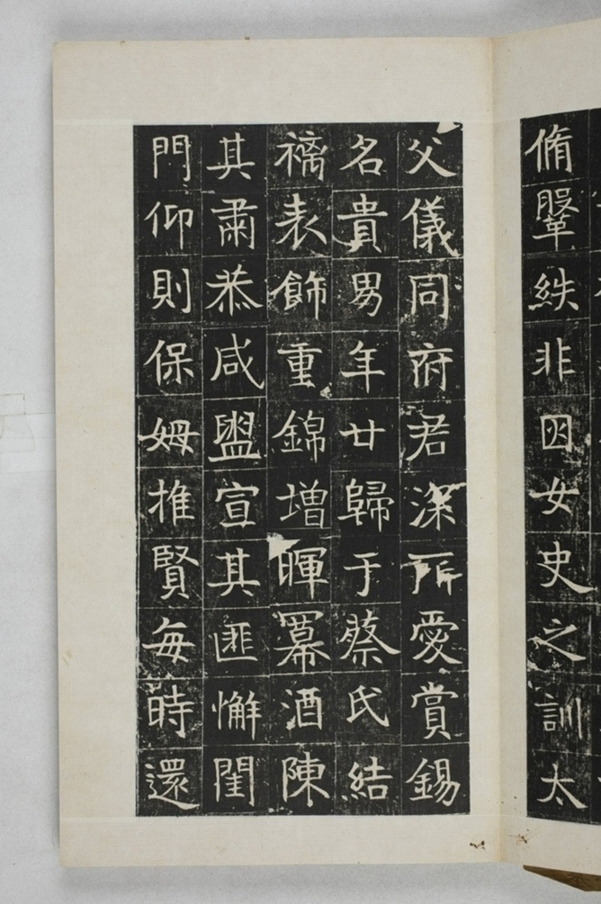 蔡君妻張貴男墓誌_