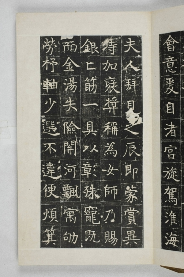 蔡君妻張貴男墓誌_