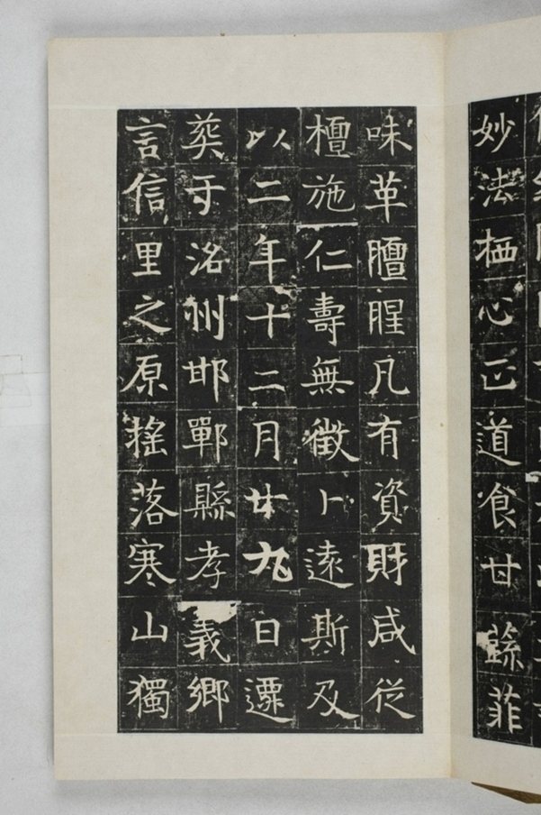 蔡君妻張貴男墓誌_